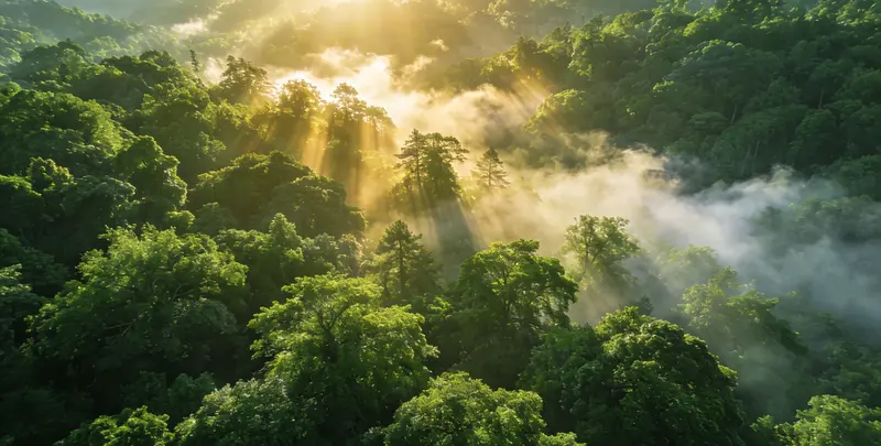 楚雄肺癌68基因检测图片1