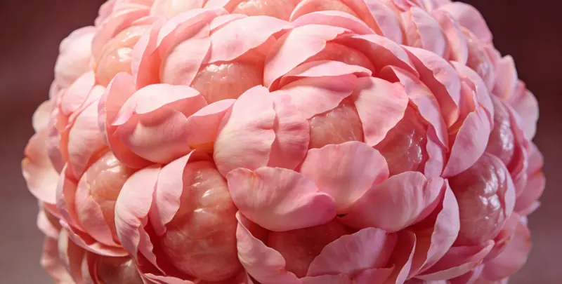 楚雄BRCA1/2乳腺癌卵巢癌基因检测图片1